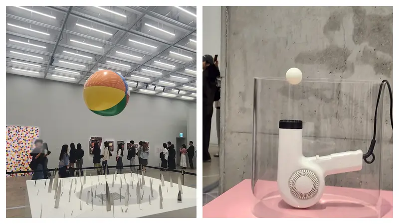Damien Hirst<사랑의 취약> <올라간 것은 반드시 내려온다>, MMCA Seoul