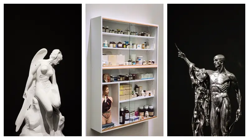Damien Hirst<천사의 해부학> <죄> <성 바르톨로메오, 극심한 고통>, MMCA Seoul